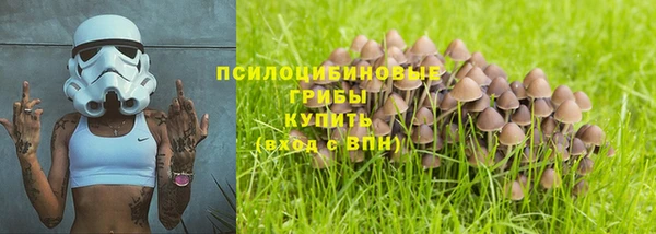 бутират Алзамай