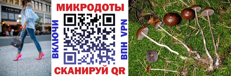 как найти закладки  гидра ССЫЛКА  Псилоцибиновые грибы мицелий  Лениногорск 